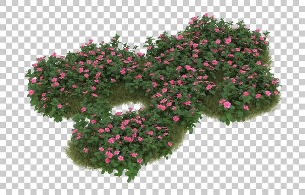 Campo de hierba con flores sobre fondo transparente. Representación 3d - ilustración
