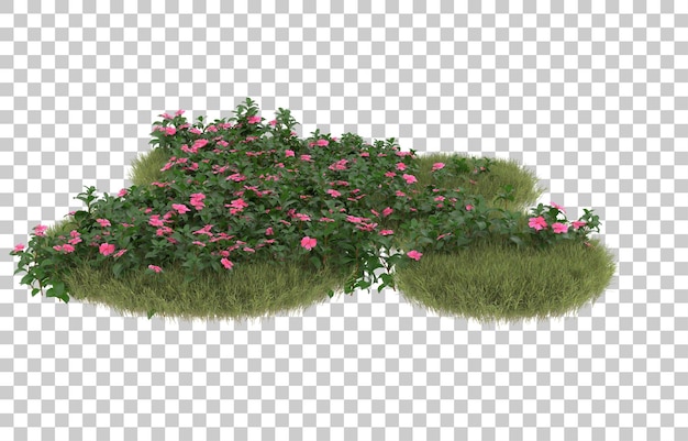Campo de hierba con flores sobre fondo transparente. Representación 3d - ilustración