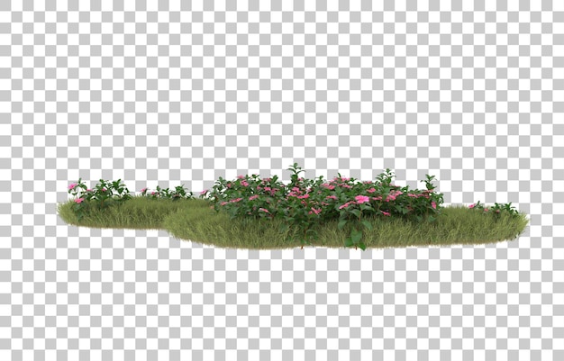 Campo de hierba con flores sobre fondo transparente. Representación 3d - ilustración