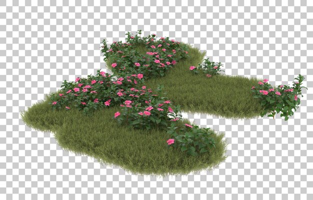Campo de hierba con flores sobre fondo transparente. Representación 3d - ilustración