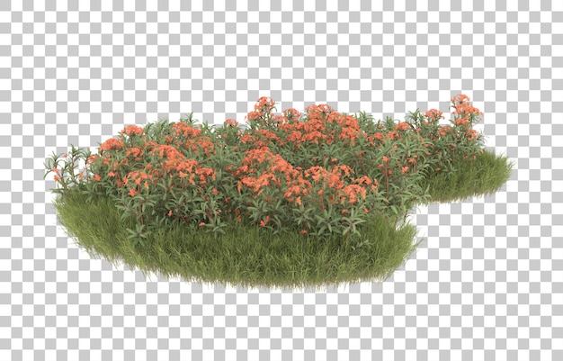 Campo de hierba con flores sobre fondo transparente. Representación 3d - ilustración