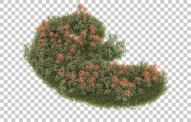 Campo de hierba con flores sobre fondo transparente. Representación 3d - ilustración