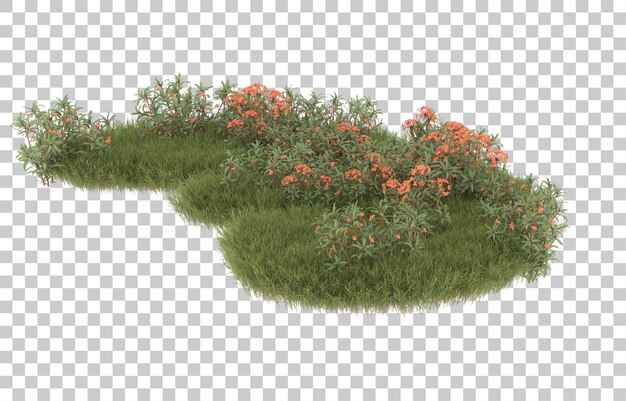 Campo de hierba con flores sobre fondo transparente. Representación 3d - ilustración