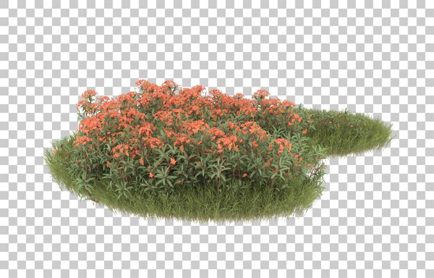 Campo de hierba con flores sobre fondo transparente. representación 3d - ilustración