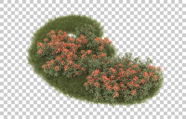 Campo de hierba con flores sobre fondo transparente. Representación 3d - ilustración