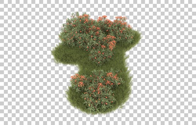 Campo de hierba con flores sobre fondo transparente. Representación 3d - ilustración
