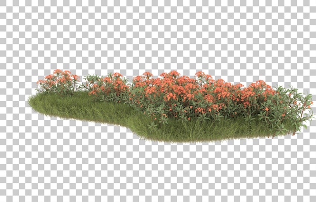 Campo de hierba con flores sobre fondo transparente. Representación 3d - ilustración
