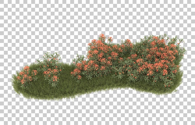 Campo de hierba con flores sobre fondo transparente. Representación 3d - ilustración