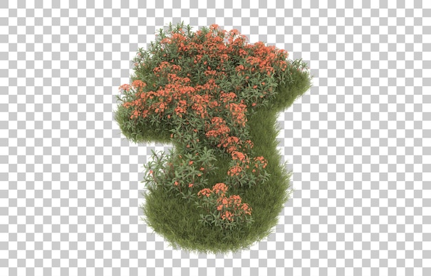 Campo de hierba con flores sobre fondo transparente. Representación 3d - ilustración