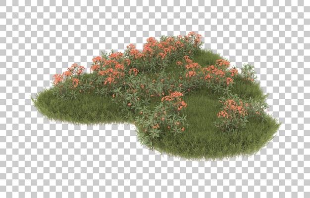 Campo de hierba con flores sobre fondo transparente. Representación 3d - ilustración