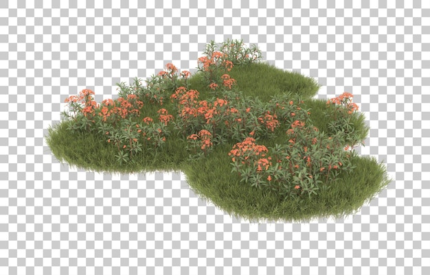 Campo de hierba con flores sobre fondo transparente. Representación 3d - ilustración