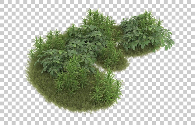 Campo de hierba con flores sobre fondo transparente. Representación 3d - ilustración