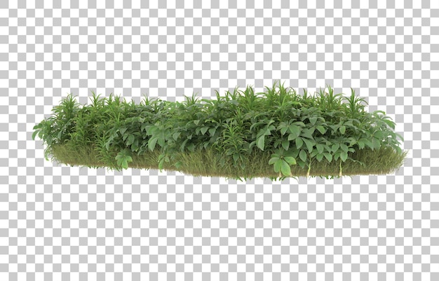 Campo de hierba con flores sobre fondo transparente. Representación 3d - ilustración