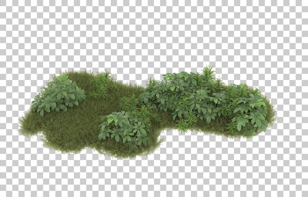 Campo de hierba con flores sobre fondo transparente. Representación 3d - ilustración