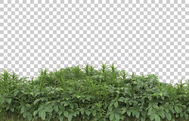 Campo de hierba con flores sobre fondo transparente. Representación 3d - ilustración