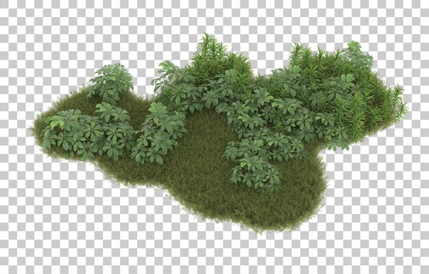 Campo de hierba con flores sobre fondo transparente. Representación 3d - ilustración