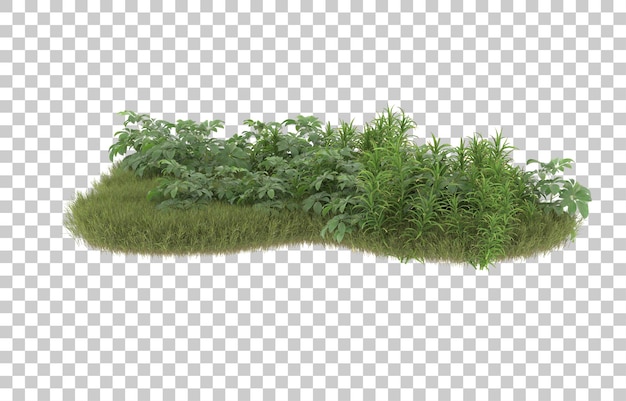 Campo de hierba con flores sobre fondo transparente. Representación 3d - ilustración