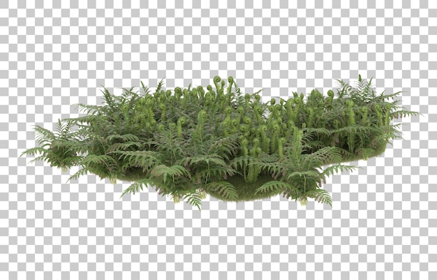 Campo de hierba con flores sobre fondo transparente. Representación 3d - ilustración