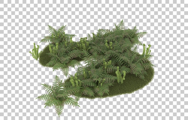 Campo de hierba con flores sobre fondo transparente. Representación 3d - ilustración