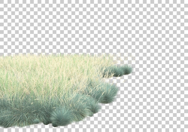 Campo de hierba con ilustración de renderizado 3d de fondo transparente