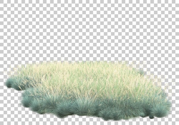 Campo de hierba con ilustración de renderizado 3d de fondo transparente