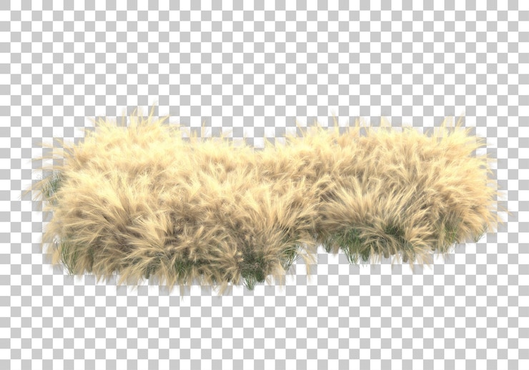 PSD campo de hierba con ilustración de renderizado 3d de fondo transparente