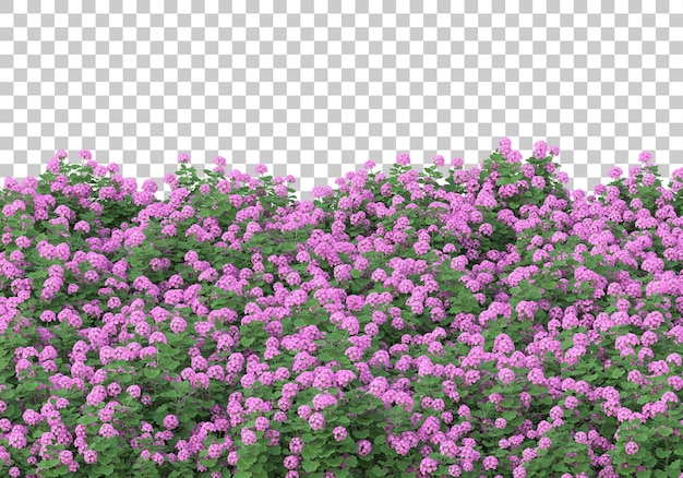 Campo de hierba con ilustración de renderizado 3d de fondo transparente