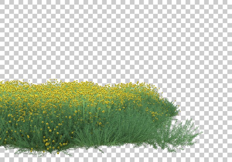 PSD campo de hierba en la ilustración de renderizado 3d de fondo transparente