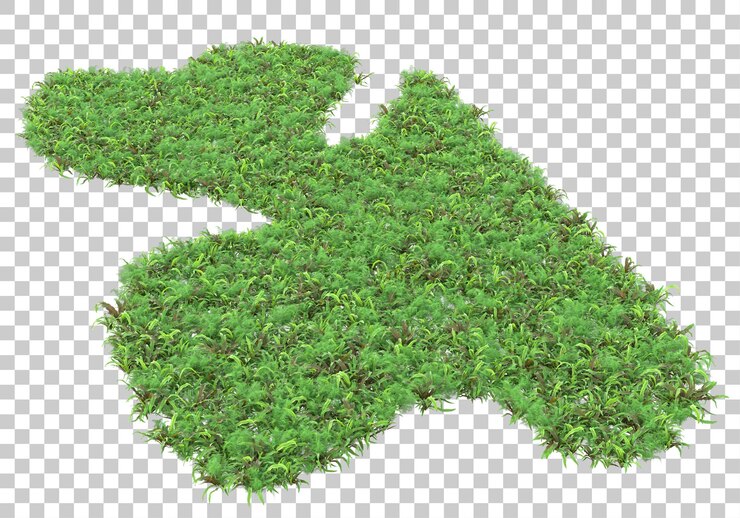 PSD campo de hierba en la ilustración de renderizado 3d de fondo transparente