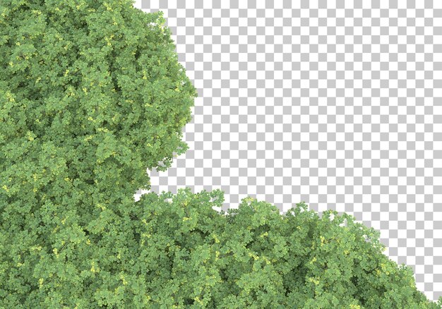 Campo de hierba en la ilustración de renderizado 3d de fondo transparente