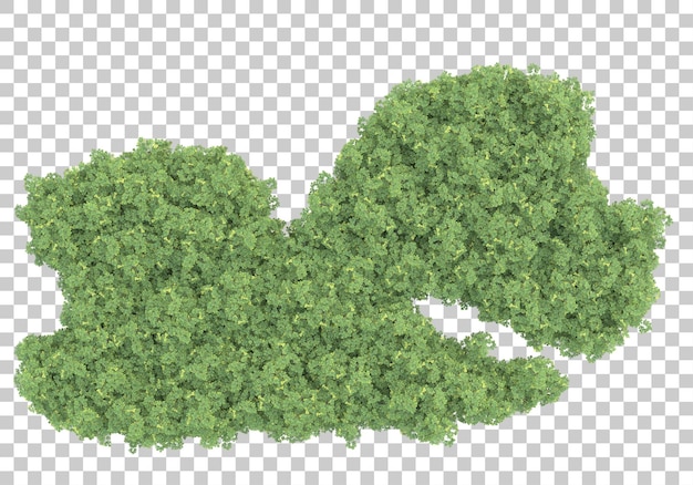Campo de hierba en la ilustración de renderizado 3d de fondo transparente