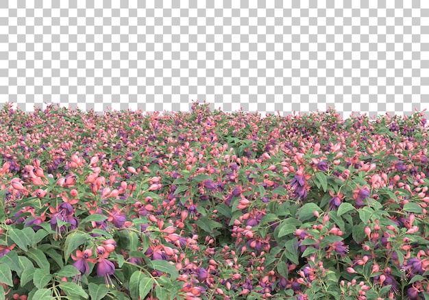 Campo de hierba con ilustración de renderizado 3d de fondo transparente