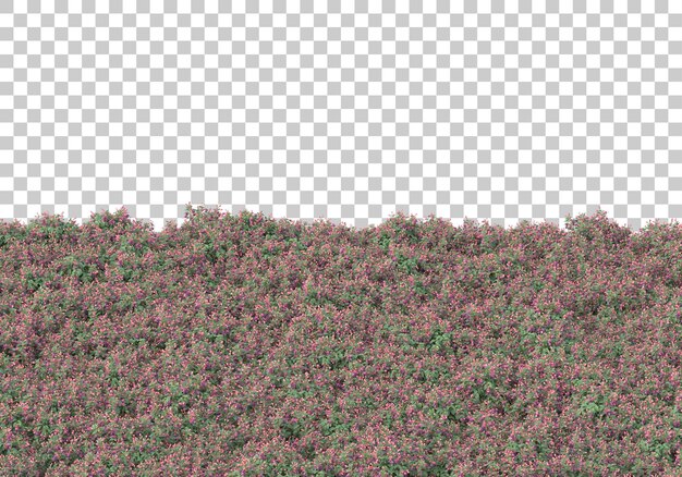 Campo de hierba con ilustración de renderizado 3d de fondo transparente