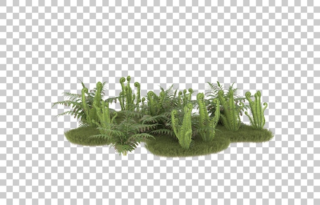Campo de hierba sobre fondo transparente. Representación 3d - ilustración