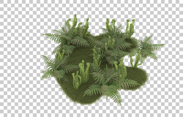 Campo de hierba sobre fondo transparente. Representación 3d - ilustración
