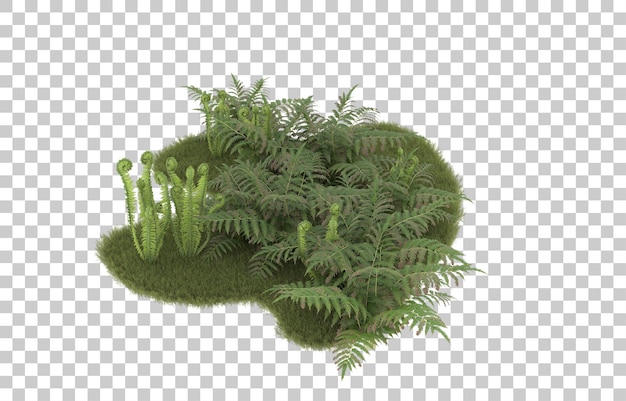 Campo de hierba sobre fondo transparente. Representación 3d - ilustración