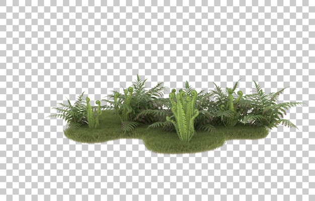 Campo de hierba sobre fondo transparente. Representación 3d - ilustración