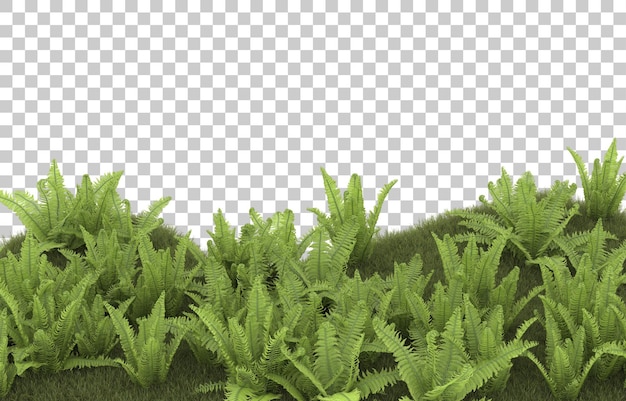 Campo de hierba sobre fondo transparente. Representación 3d - ilustración
