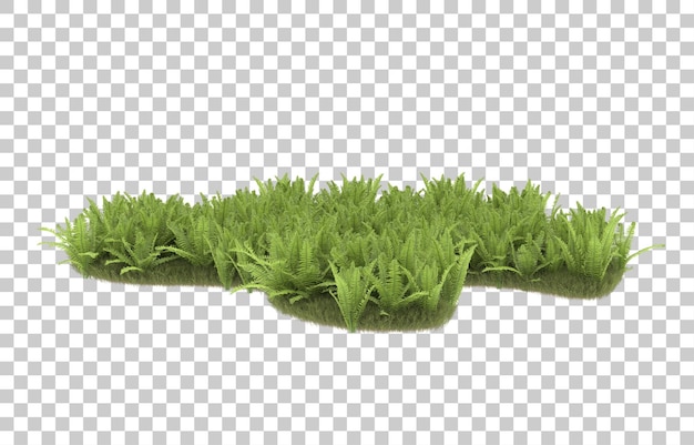 Campo de hierba sobre fondo transparente. representación 3d - ilustración