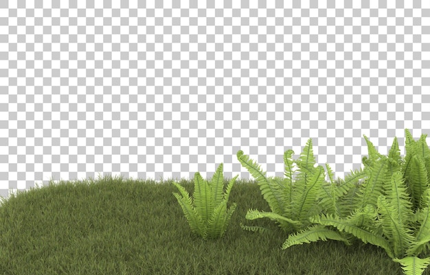 Campo de hierba sobre fondo transparente. Representación 3d - ilustración