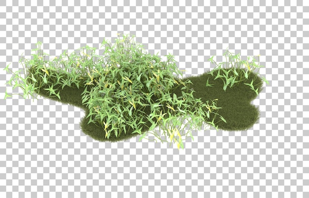 Campo de hierba sobre fondo transparente. Representación 3d - ilustración
