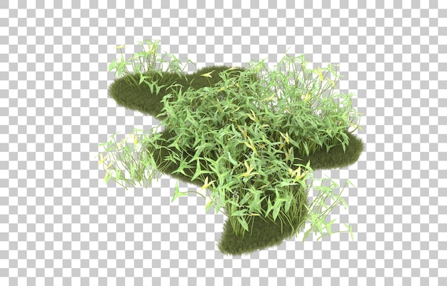 Campo de hierba sobre fondo transparente. Representación 3d - ilustración