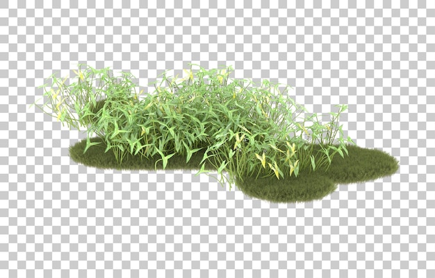Campo de hierba sobre fondo transparente. Representación 3d - ilustración