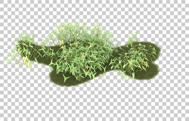 Campo de hierba sobre fondo transparente. Representación 3d - ilustración