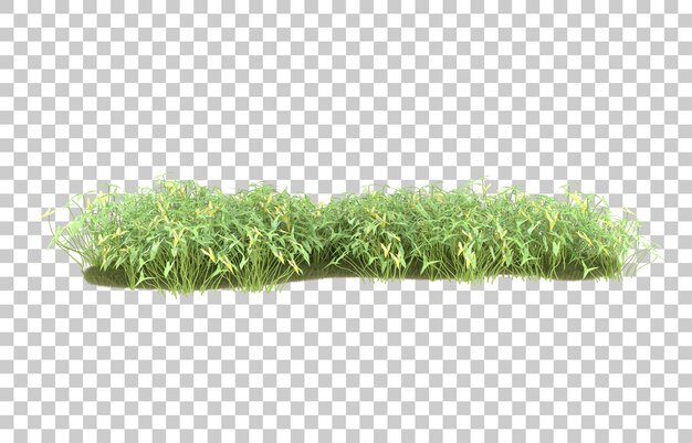 Campo de hierba sobre fondo transparente. Representación 3d - ilustración