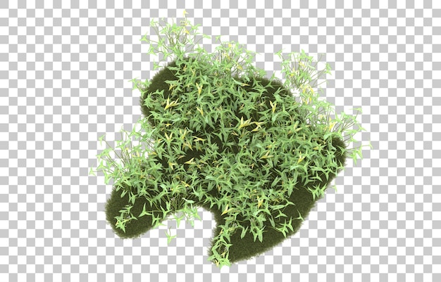 Campo de hierba sobre fondo transparente. Representación 3d - ilustración