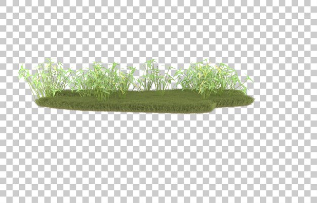 Campo de hierba sobre fondo transparente. Representación 3d - ilustración