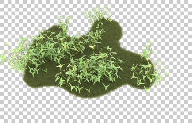 Campo de hierba sobre fondo transparente. Representación 3d - ilustración