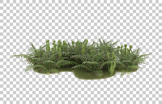 Campo de hierba sobre fondo transparente. Representación 3d - ilustración