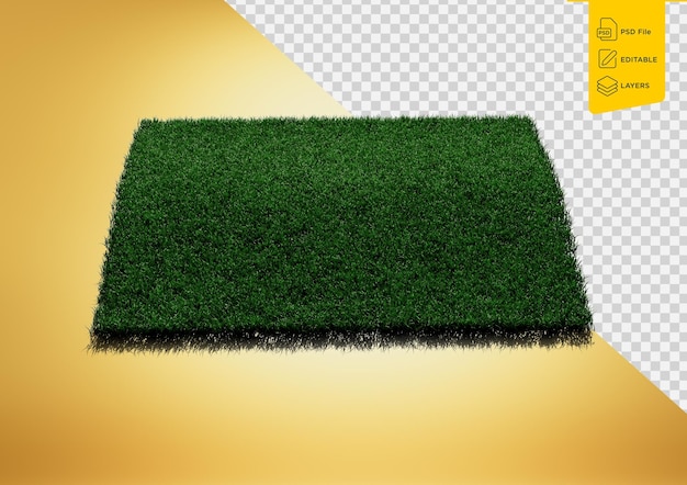 Campo de hierba verde de forma rectangular aislado sobre un fondo blanco Ilustración 3D